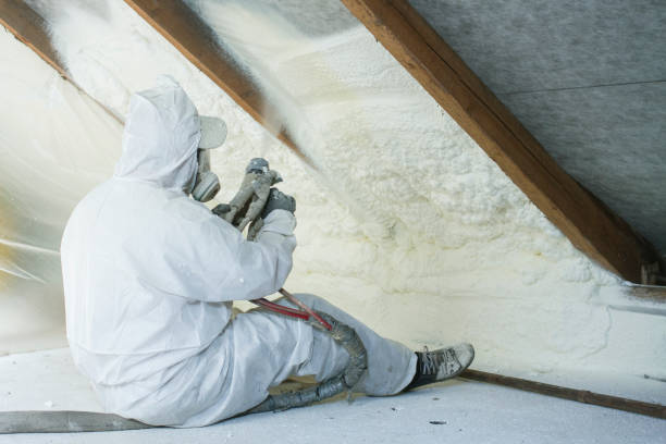 Professional Insulation Removal & Installation in North Utica, IL